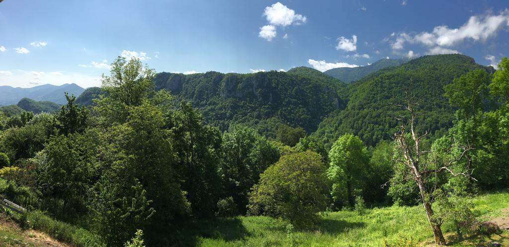 Gite De Serrelongue Montségur エクステリア 写真